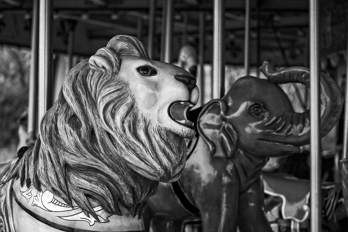 Carousel Animals - Black and White Photograph by Keith Dotson. Click to buy a fine art print.