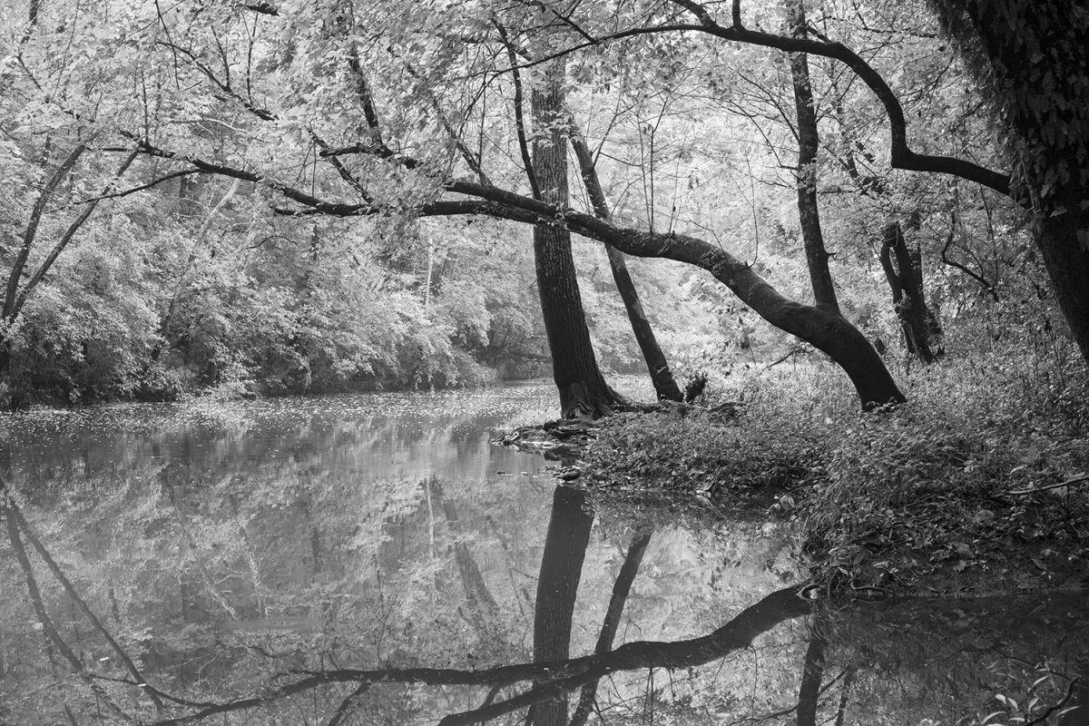 Late summer sunlight on a languid creek, black and white photograph by Keith Dotson.