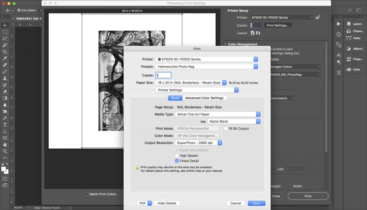 Best Epson printer settings for Hahnemühle Photo Rag Matt Shadows and