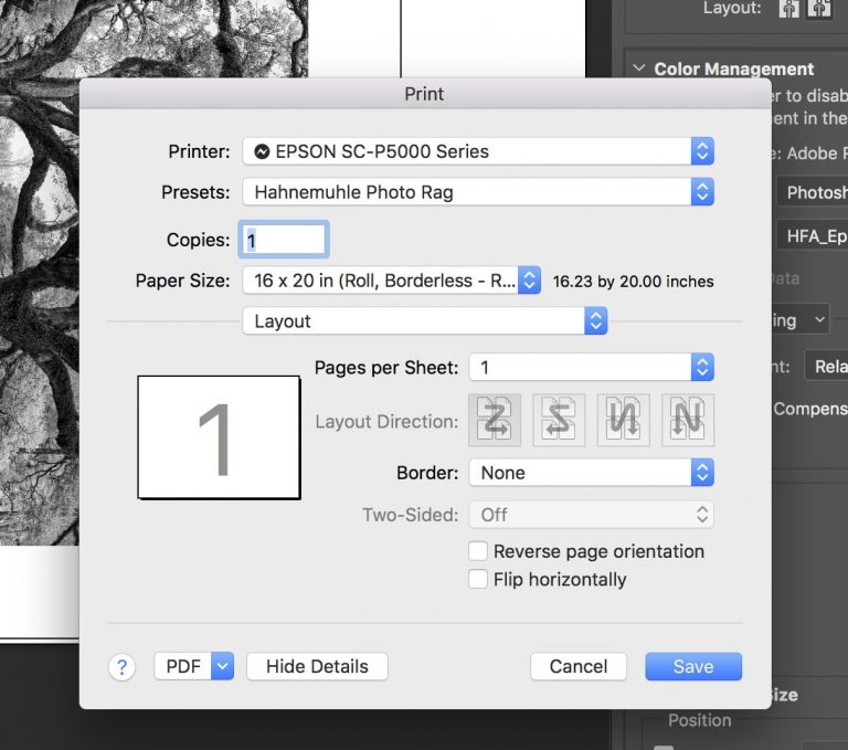 Best Epson Printer Settings For Hahnem hle Photo Rag Matt Shadows And 
