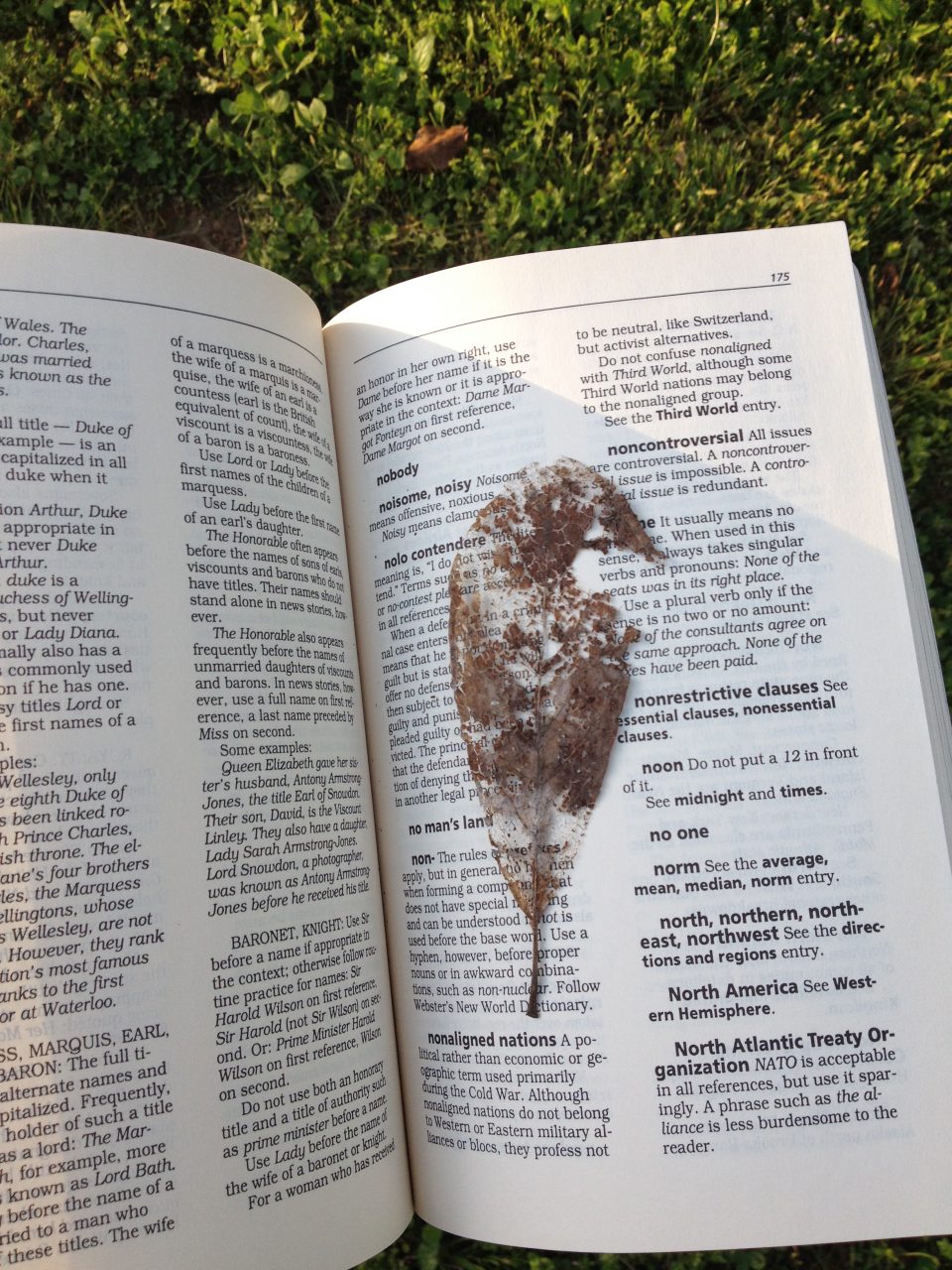 Delicate leaves, like this partially skeletal one I found on my nightly walk, are kept safe between the book's pages, and at the same time, flattened.