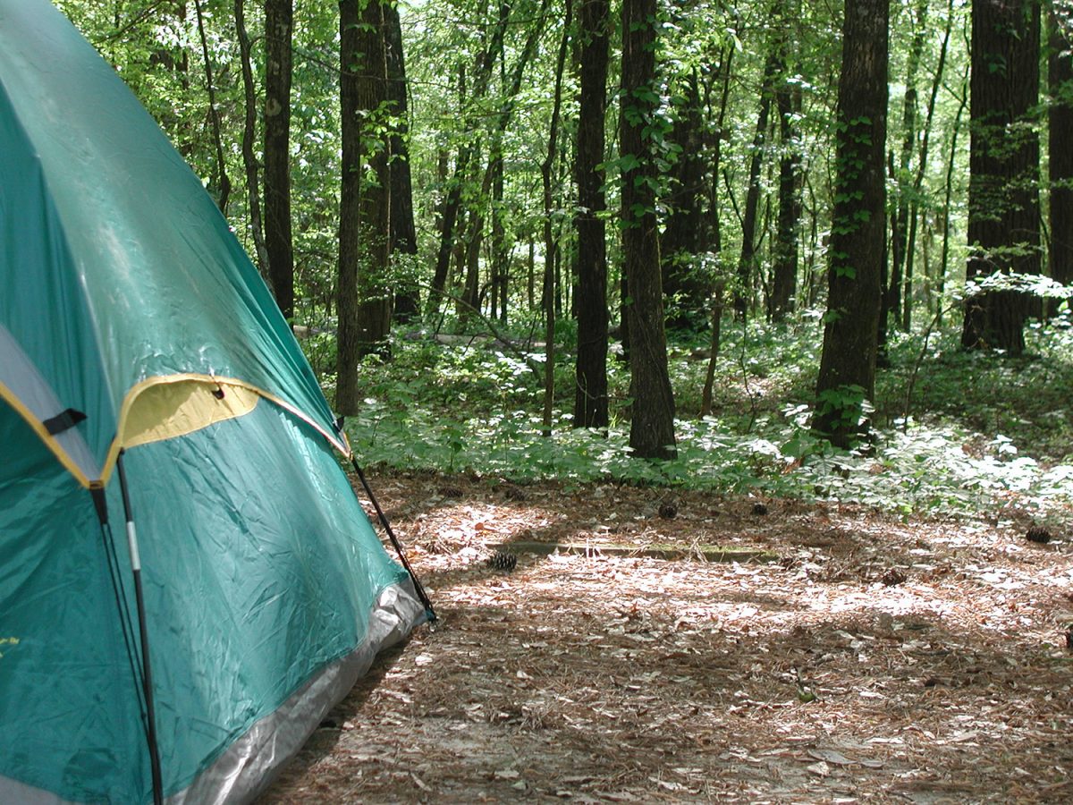 Websites that can help you find free places to camp
