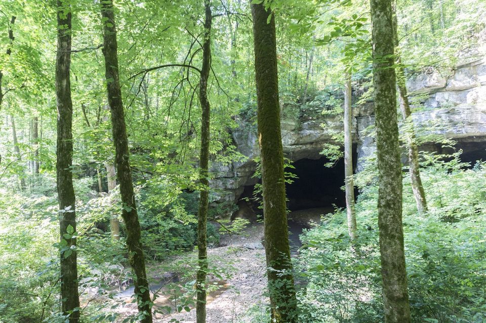 The mouth of Russell Cave in Alabama. This cave has one of the most comprehensive archeological records across all periods of Native American cultural development in the US. Artifacts found span the 1800s to 10,000 years ago. Photograph by Keith Dotson.