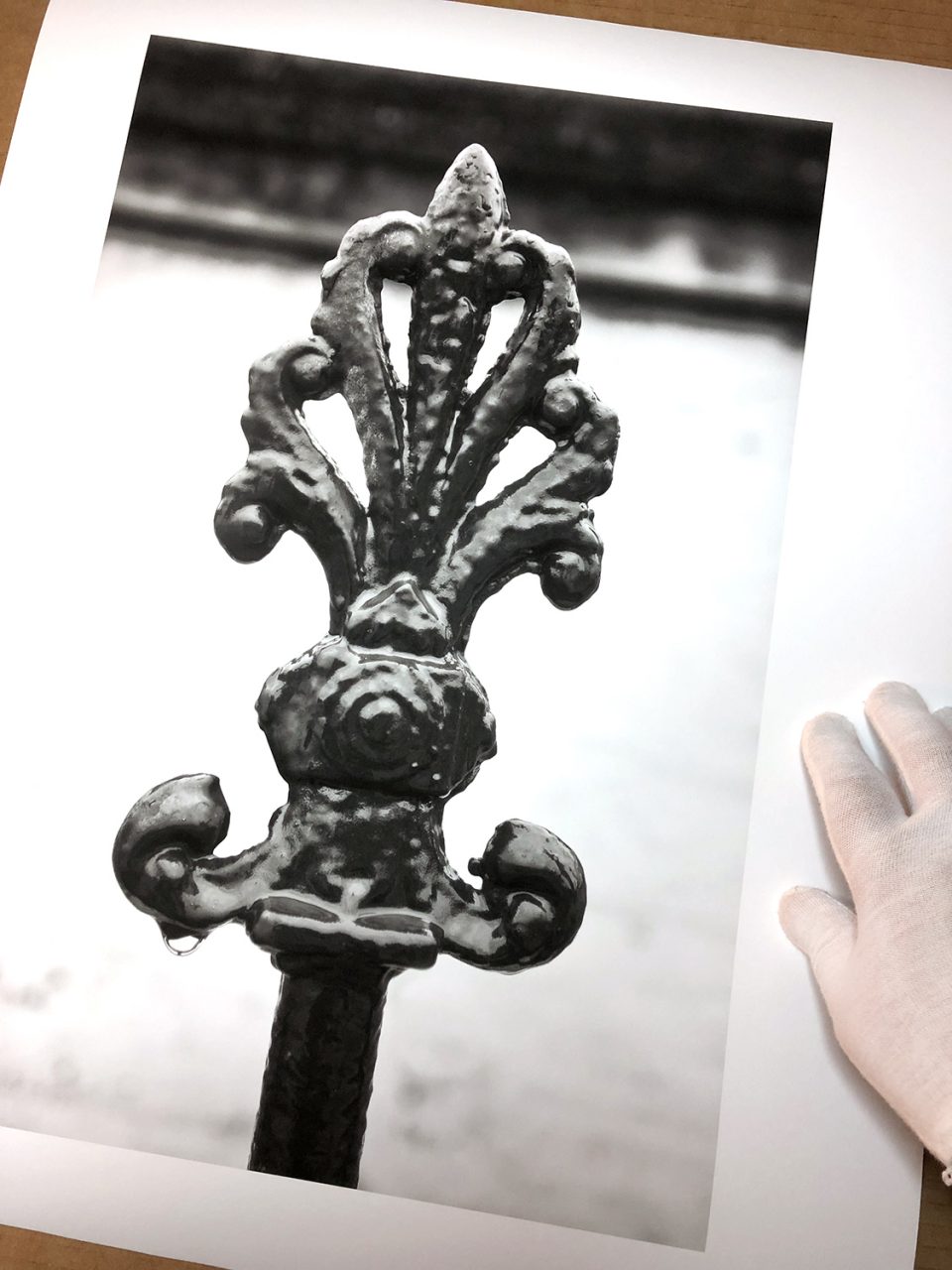 Black and white photograph of a rain soaked iron fence picket found in Savannah's historic district. It features a common Savannah motif -- the palm leaf. Buy a print here.