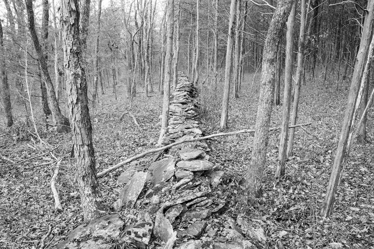 Old Stone Wall Winding through the Woods - Black and White Photograph by Keith Dotson. Click to buy a fine art print.