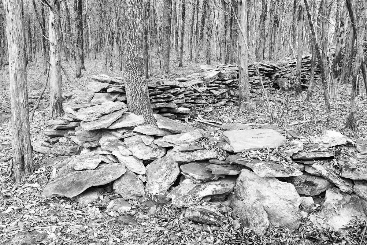 Mysterious old stone wall in the woods Shadows and Light
