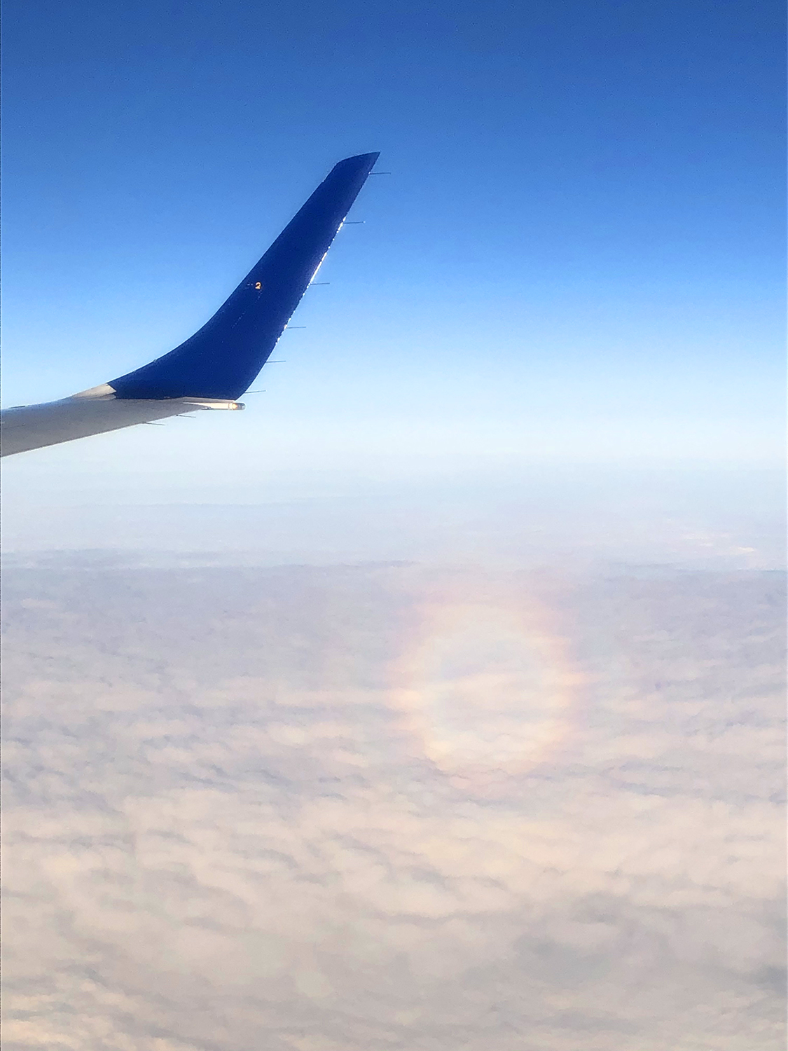 iPhone photograph of a full-circle rainbow called a glory as seen from an airplane window