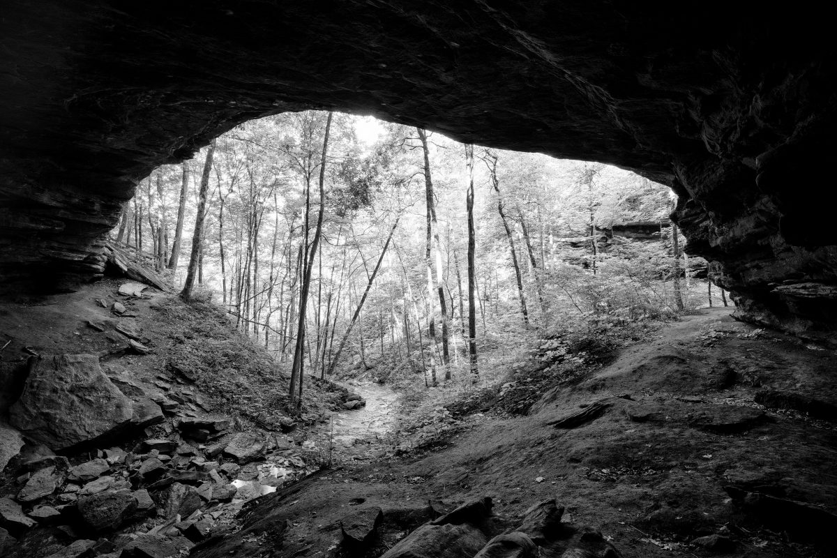 Black and white photograph gazing outward from the mouth of a cave in the forest.