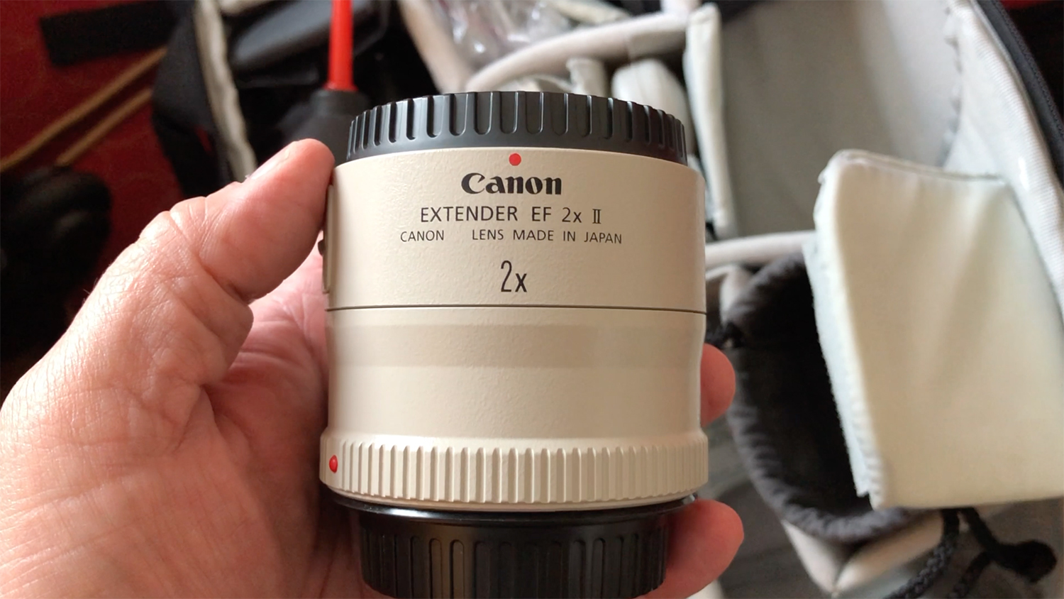 canon extender EF 2X II Archives - Shadows and Light
