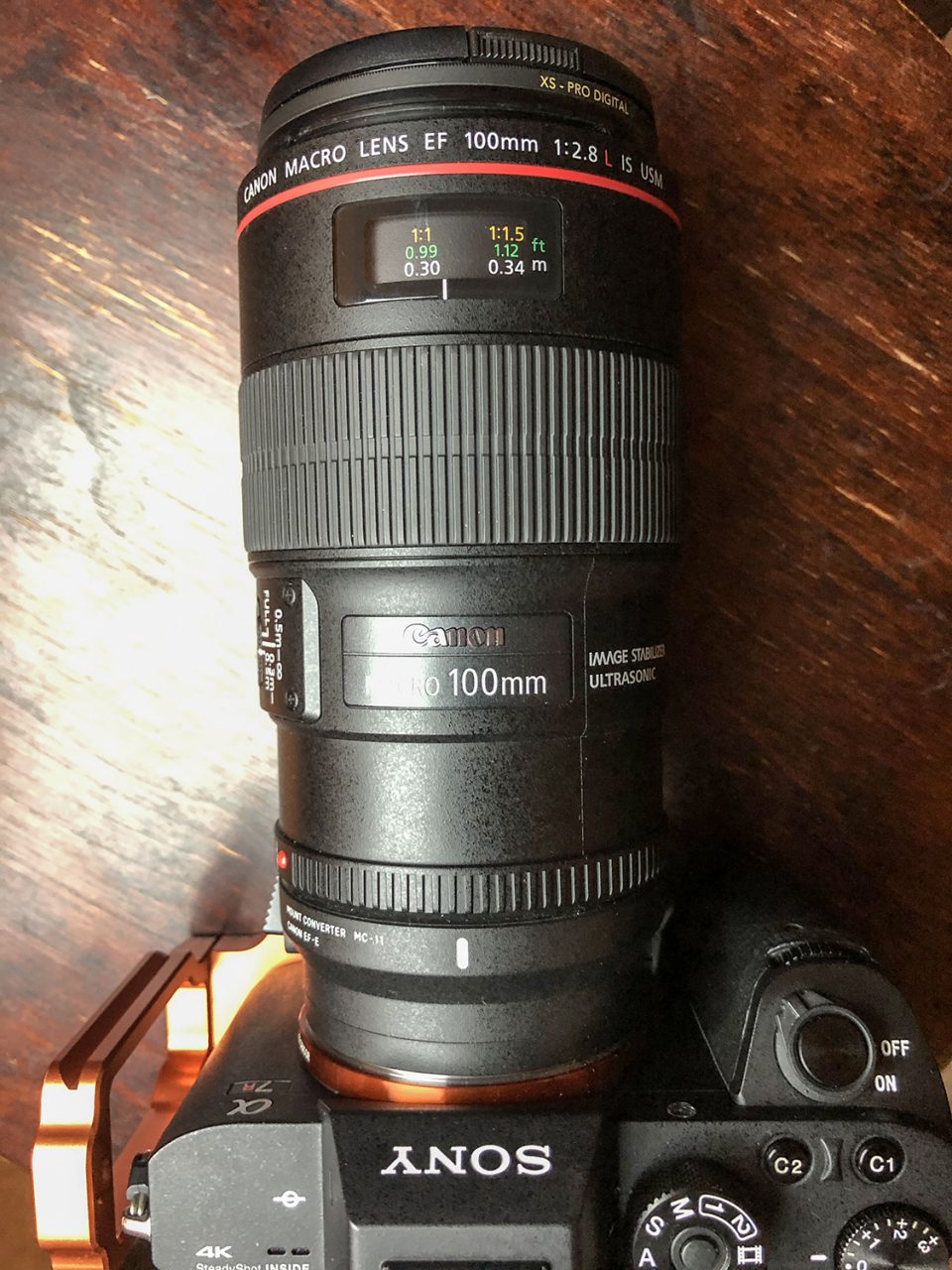 Canon EF 100mm Macro L lens with Sigma MC-11 adapter for Sony cameras