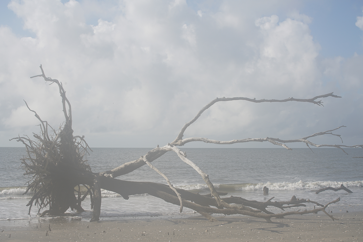 How to Prevent Fog on Your Camera Lens Shadows and Light