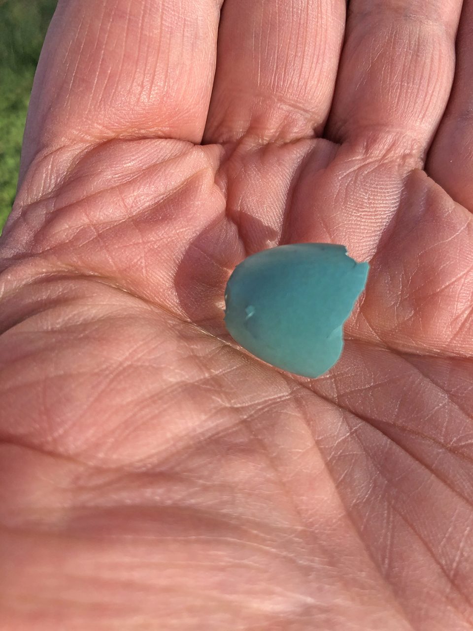 Just look at the vivid blue-green of this broken robin's egg.