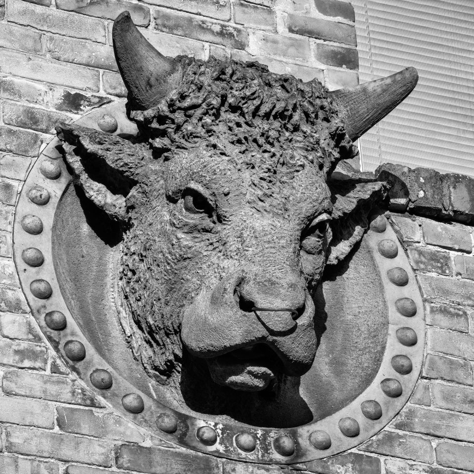 Bull's head architectural detail found in downtown Danville, Virginia. Black and white photograph by Keith Dotson.