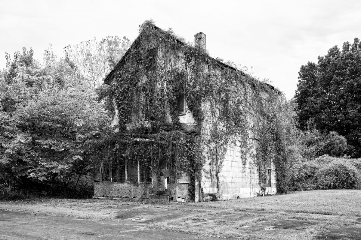 Black and white photograph of an abandoned house covered with vines in a neighborhood in Cairo, Illinois. Buy a fine art print here.