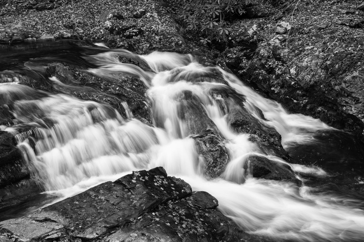 Black and white photograph of Laurel Creek shot by Keith Dotson in the Great Smoky Mountains