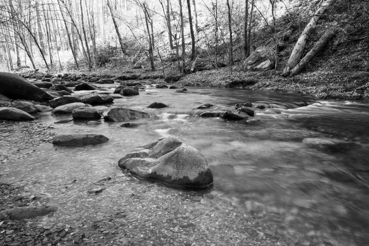 Black and white photograph of Laurel Creek by Keith Dotson.