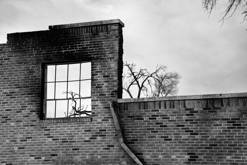 Blackened trees seen through the open window of the old Hext School in Oklahoma. Built in the 1930 and long abandoned, it was consumed by fire in April 2021.