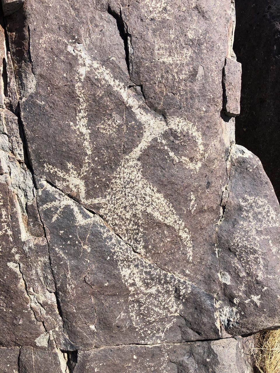 Animal effigy glyph at Three Rivers Petroglyph Site. Photograph by Keith Dotson. Copyright 2022.