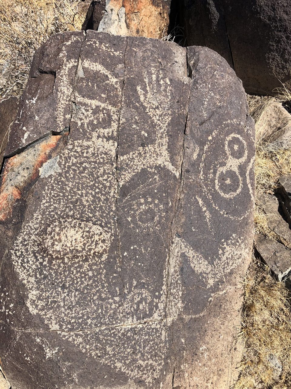 Fantastical creatures at Three Rivers Petroglyph Site in New Mexico. Photograph by Keith Dotson. Copyright 2022.