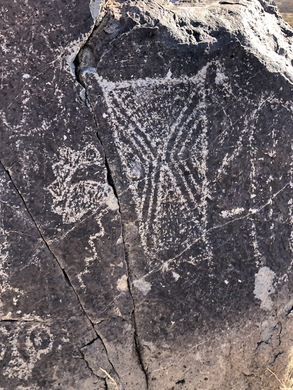 Three Rivers Petroglyph Site in New Mexico. Photograph by Keith Dotson. Copyright 2022.