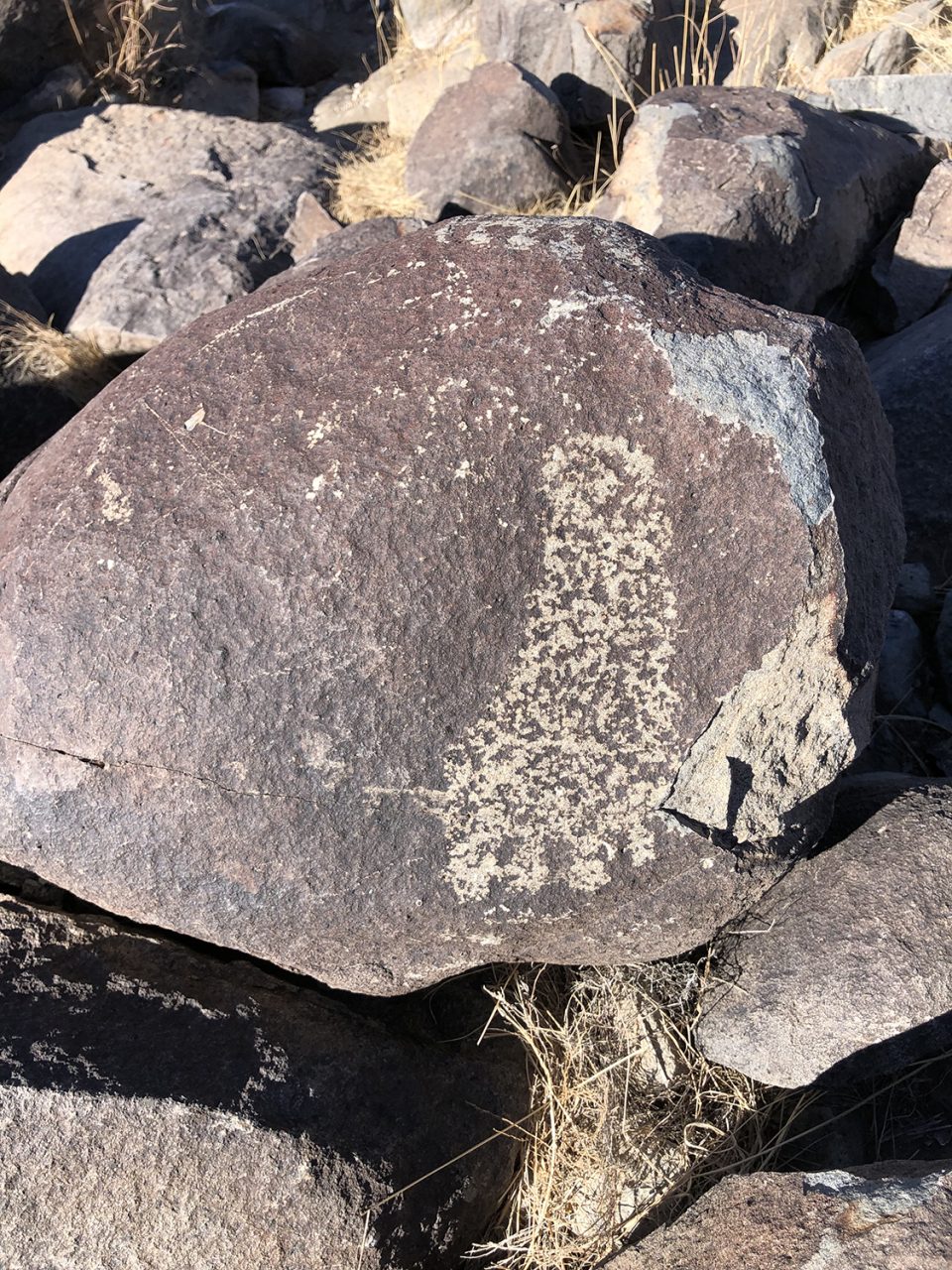 Representation of a human foot carved into the surface of a boulder at Three Rivers Petroglyph Site in New Mexico. Photograph by Keith Dotson. Copyright 2022.