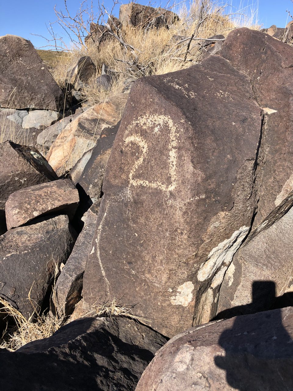 Carving of a bald eagle at Three Rivers Petroglyph Site in New Mexico. Photograph by Keith Dotson. Copyright 2022.