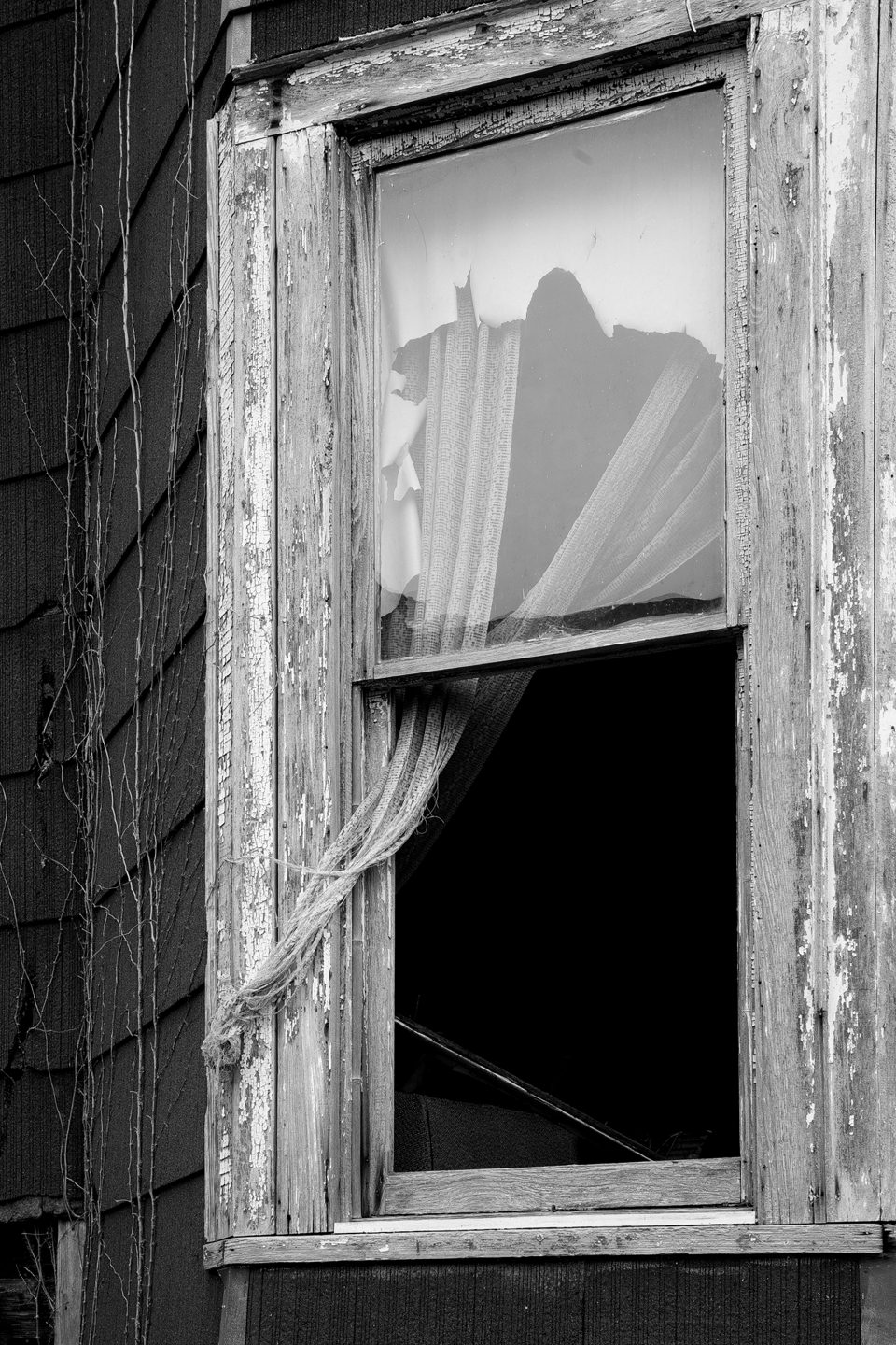 Black and white photograph of a tattered curtain snagged on the woodwork of the open window of an abandoned house, shot in Cairo, Illinois by Keith Dotson