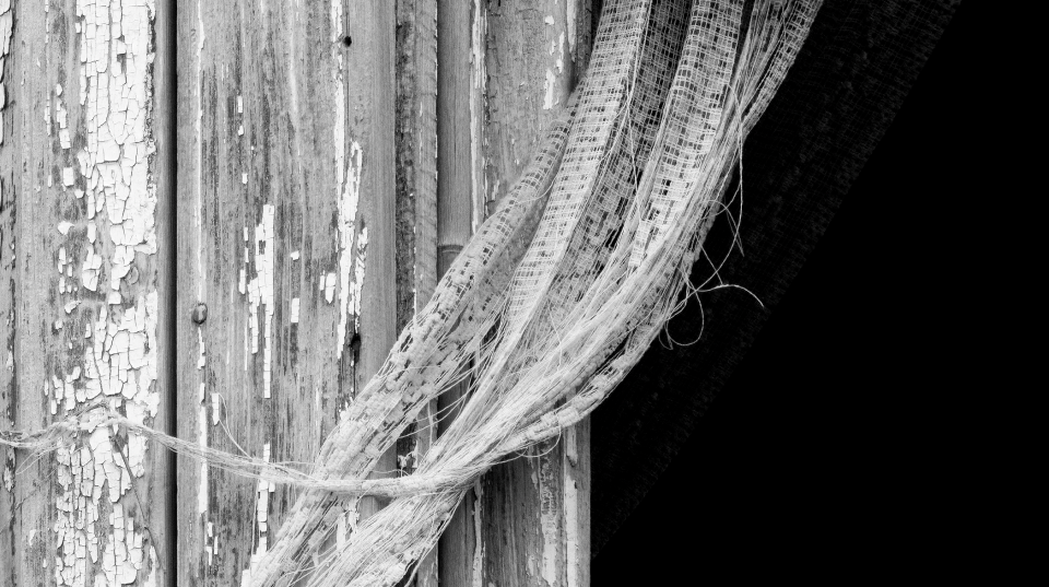A close-up look at the detail and texture in the black and white photograph.