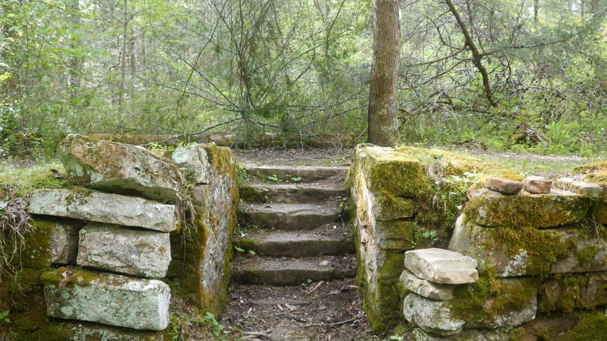 The stone steps of the old 1880s era Greeter home place in the forests of Tennessee