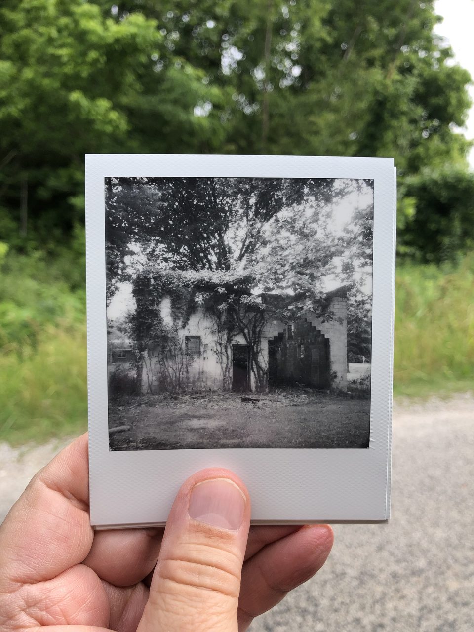 Black and white Polaroid photograph of an abandoned building with ivy vines over it.