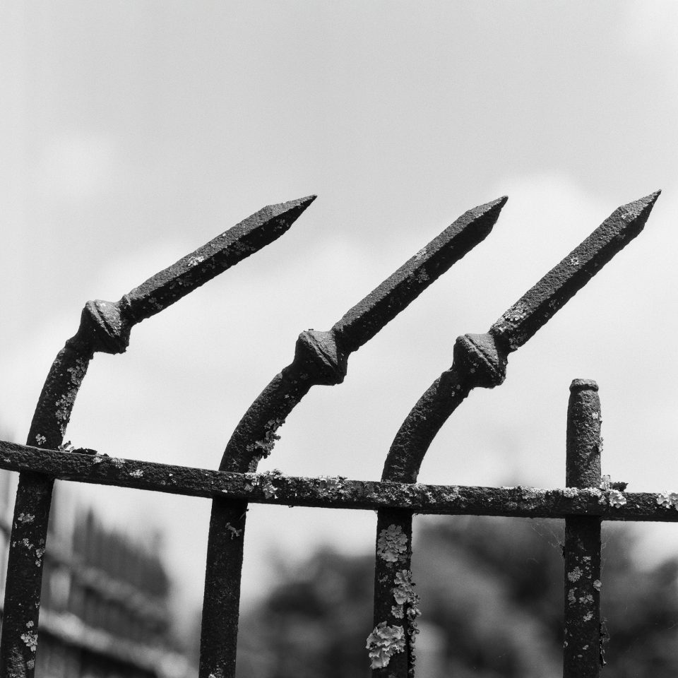 Bent finials of a rusty old iron fence. Black and white photograph by Keith Dotson, shot with Hasselblad 500 C/M, with Cinestill Double X BwXX film.