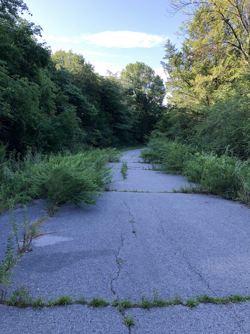 Part of the abandoned road that leads to Old Jefferson. To help beat the summer heat, I got a very early start.