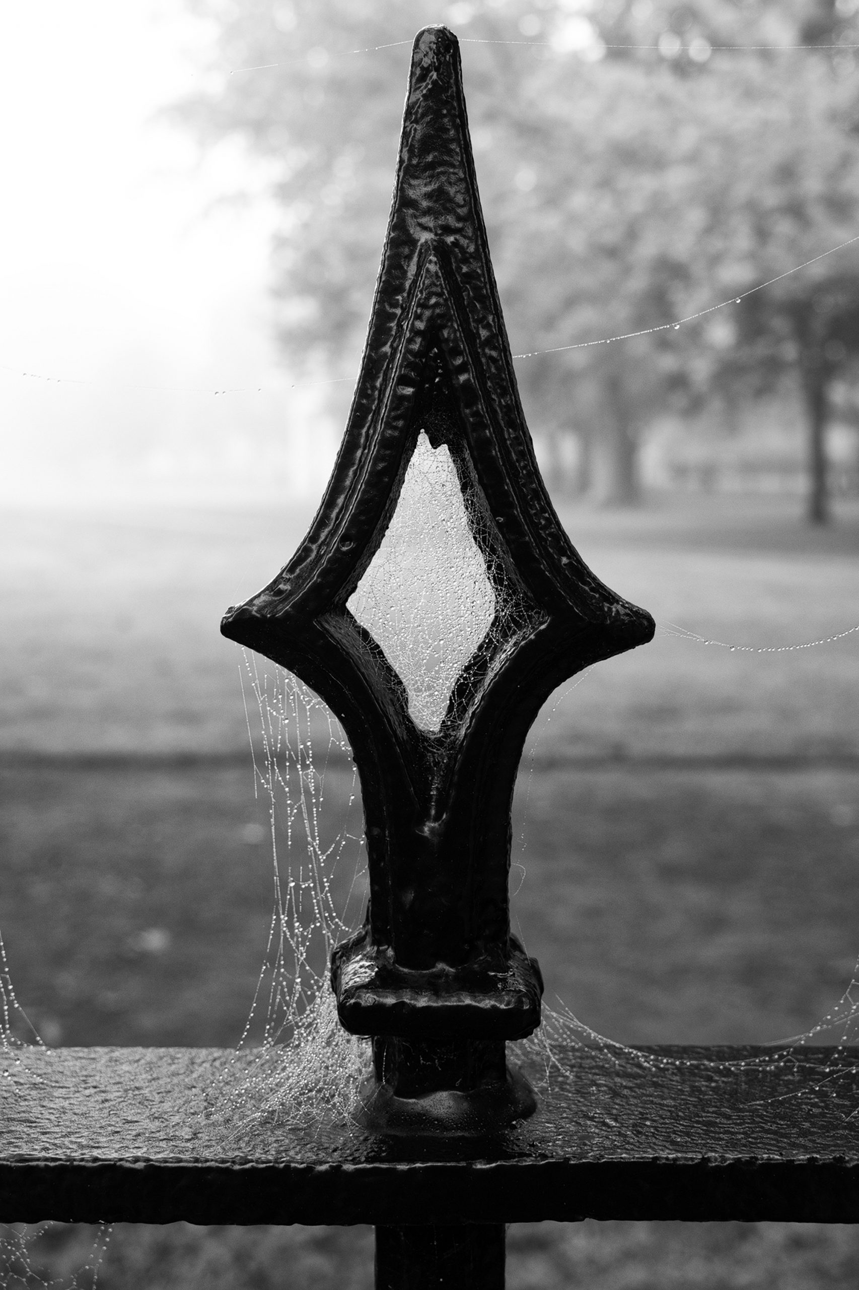 Foggy Morning on Salem Common: Black and White Photography of Salem's ...