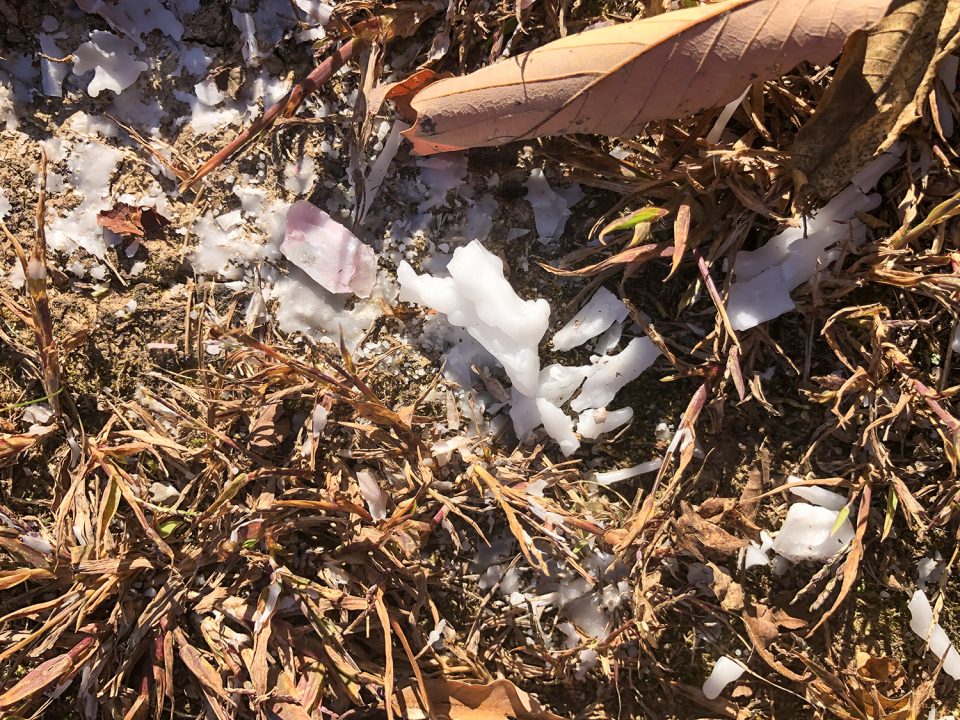 This photograph shows melted candlewax on the ground amongst the grass and fallen leaves, near the headstone of Sanford Stamps, and may indicate that people are drawn to the graveyard by its reputation to conduct ceremonies or rituals . . . or perhaps people are just telling ghost stories by candlelight.