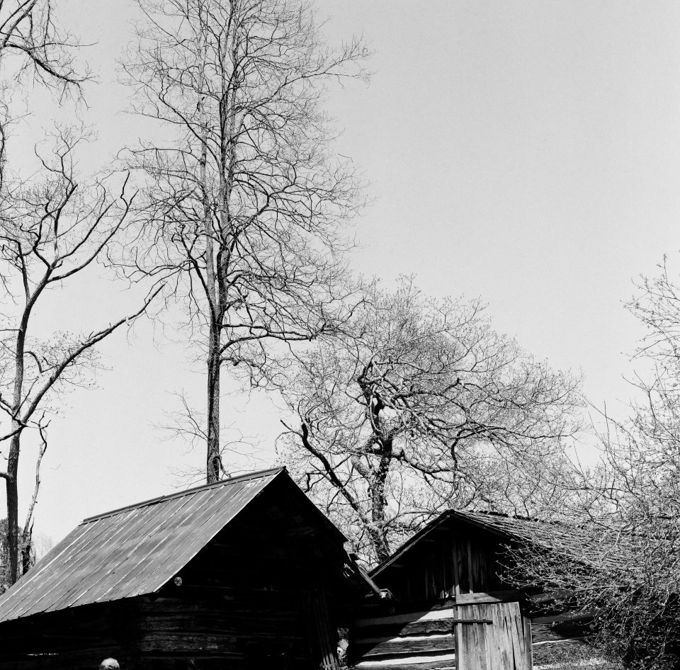 Black and white photograph of treetops and rustic buildings at Museum of Appalachia in Tennessee, shot on Fomapan 100 film with Hasselblad 500 C/M camera by Keith Dotson.