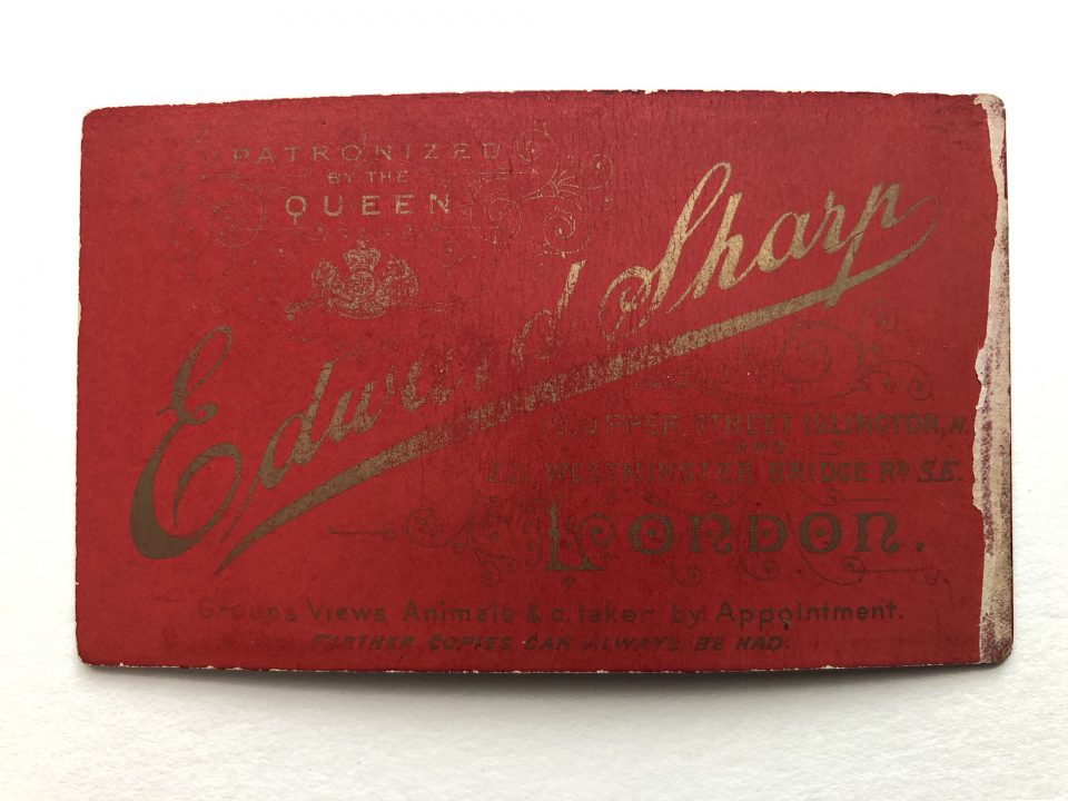 The back side of the card was printed a vivid red metallic gold ink on the typography. It reads: "Patronized by the Queen. Edward Sharp. 10, Upper Street Islington N. and 221 Westminster Bridge Rd. SE. London. Groups, Views, Animals etc. taken by Appointment. Further copies can always be had.