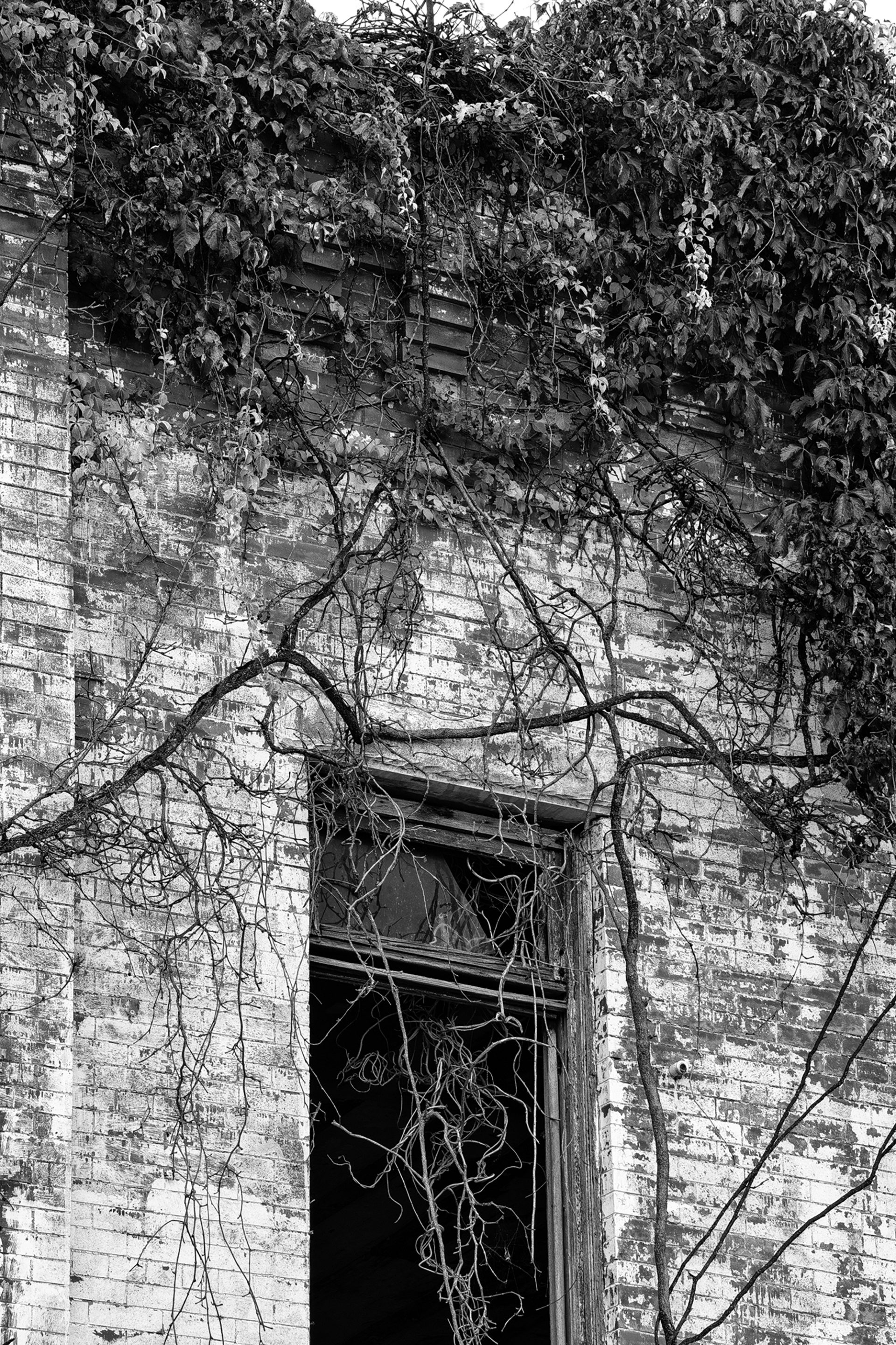 Jellico The Appalachian Coal Mining Town with an Explosive Past