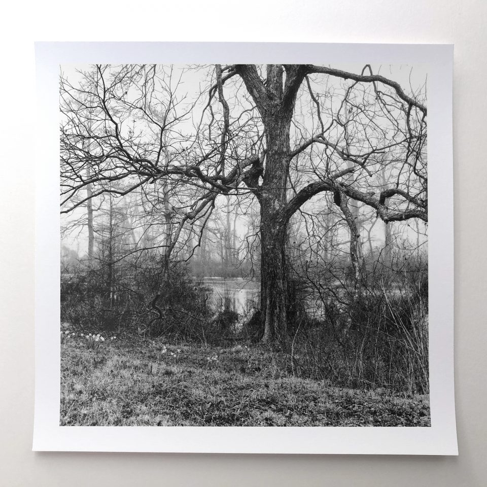 Foggy landscape in the Mississippi Delta by Keith Dotson, black and white print on baryta coated paper. $40.00.