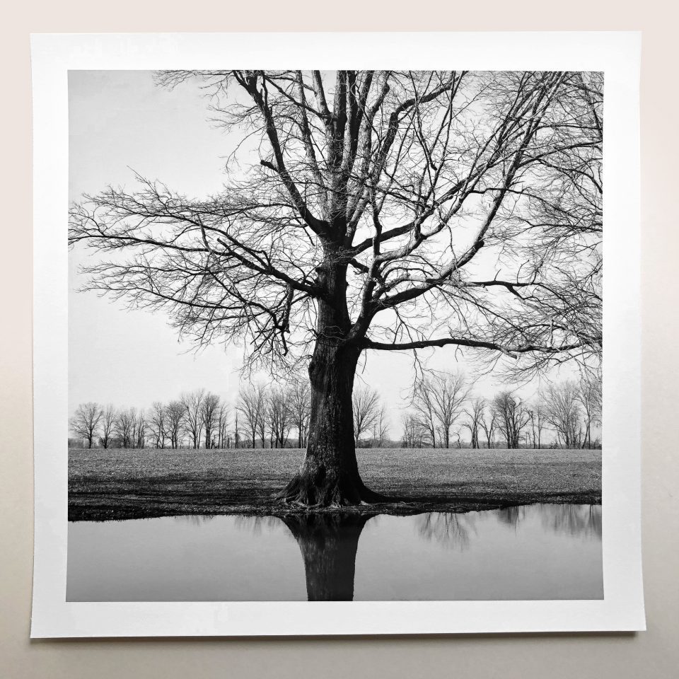 Tree Reflection Landscape by Keith Dotson, black and white print on coated Canson Infinity Platine Fibre Rag paper. $40.00.