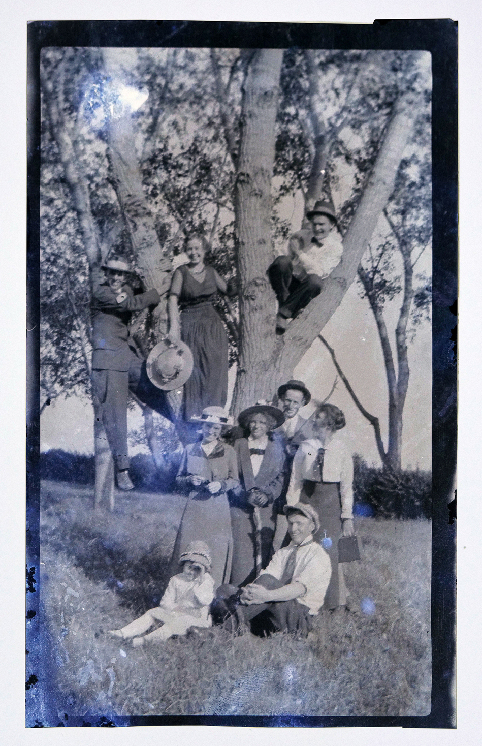 This photograph shows nine jovial people collected in period clothes gathered around a tree, with a few people perched in the branches of the tree.