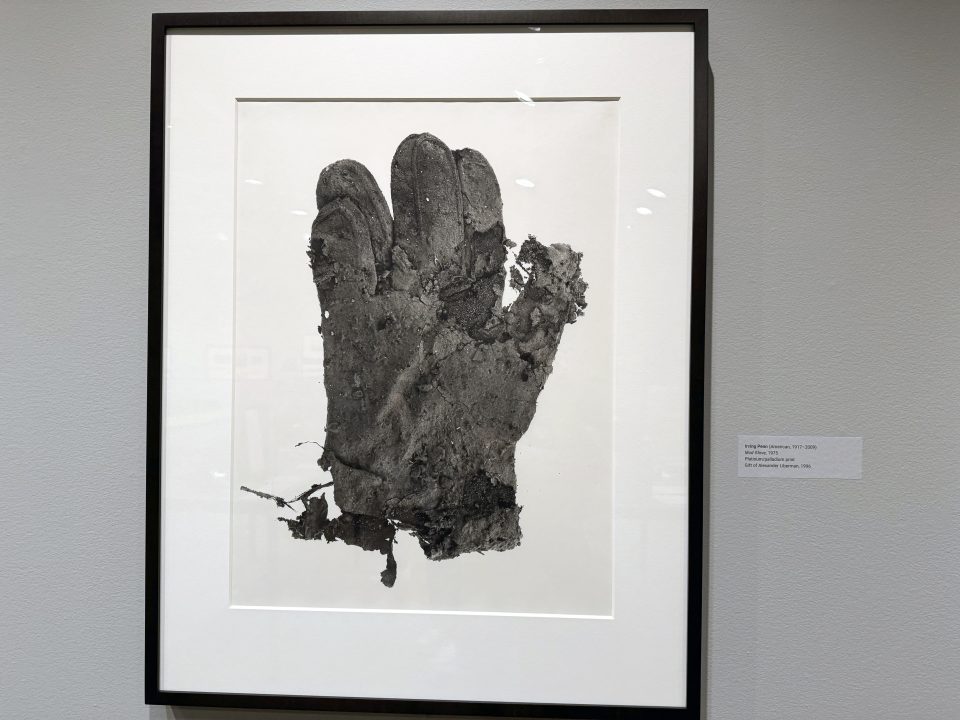Mud Glove, a 1975 platinum/palladium print by Irving Penn