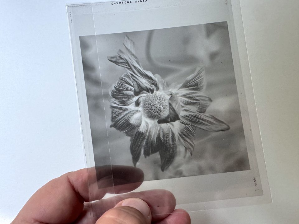 A negative imaged onto real TMAX 100 film with an LVT machine from a digital file.