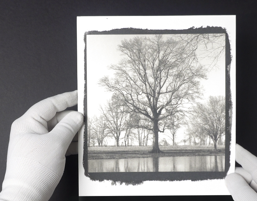 An original 7 x 7-inch square platinum-palladium print on Hahnemühle Platinum Rag paper.