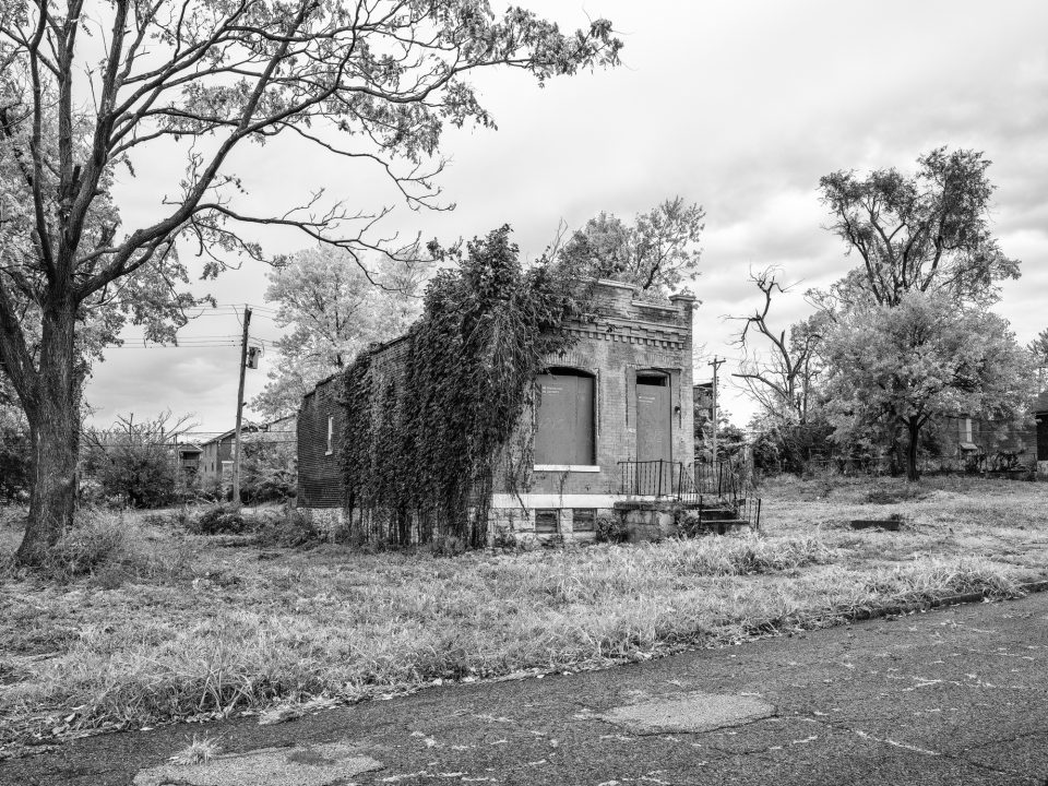 Once a storefront, this abandoned building with ivy has been boarded-up by the City of St. Louis.