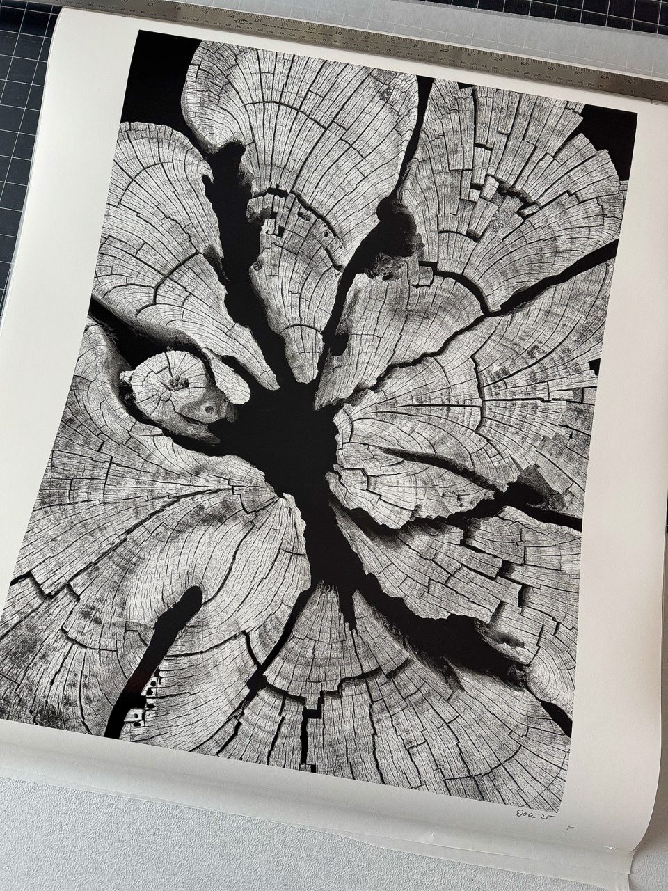 Fresh off the printer: one of the abstractions from nature series featured in the Sam Houston Hotel's billiard room.