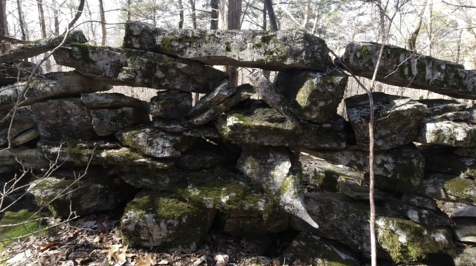 Even in the poor light, you can see the gaps known as basal niches, between the stones in the old wall in Kentucky. According to expert Daniel Pezzoni, these did not occur in farm walls.