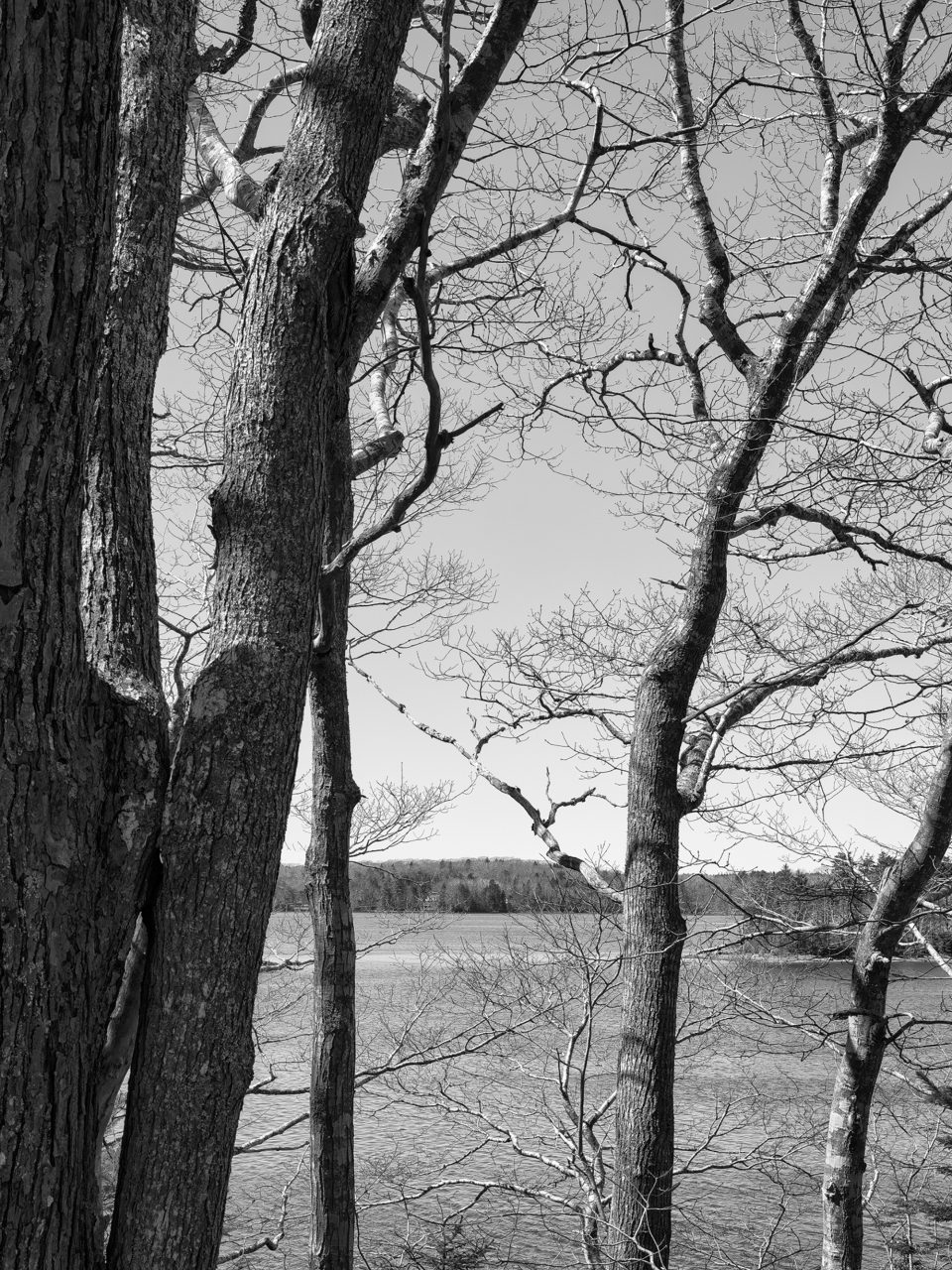 A view of Sugar Maple Cove as seen from the overlook near the Hathorn Cemetery, where the Olson family is buried and so is artist Andrew Wyeth.