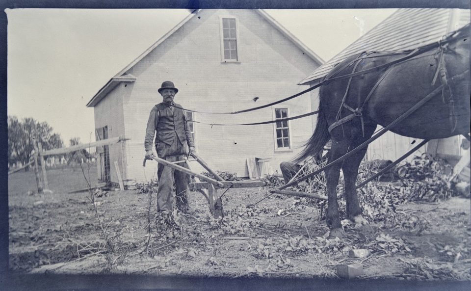A portrait of the farmer hard at work behind his large mule.