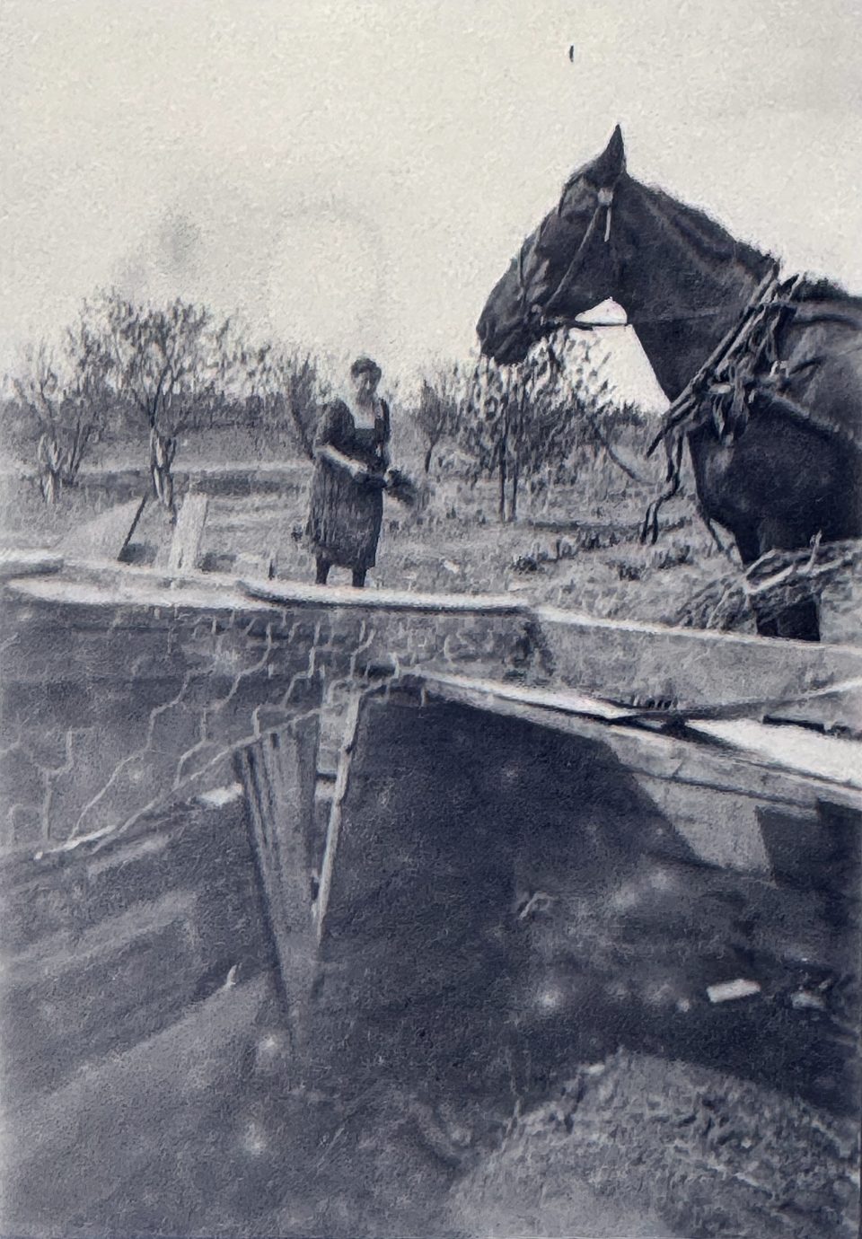 The farmer's wife perhaps -- on her way to feed the mule?