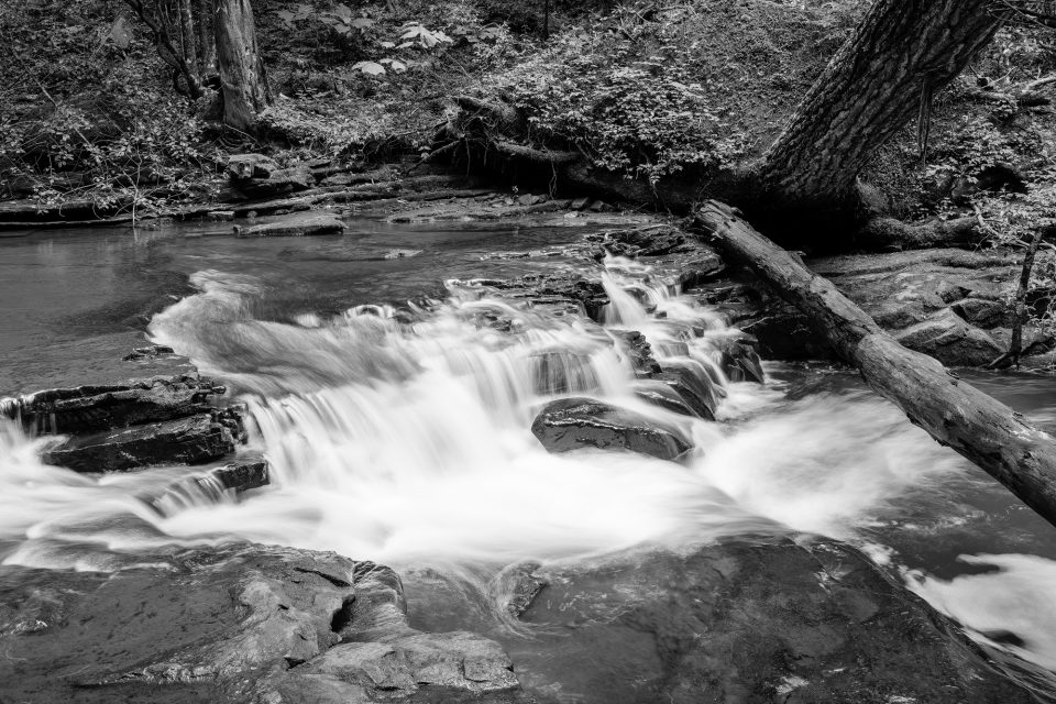 White water rapids in the Savage Gulf.